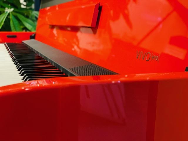 最安値で DEXIBELL VIVO H10 Red Polished 展示クリアランス超特価 送料別途お見積もり 代引き不可